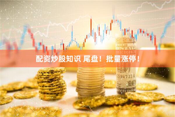 配资炒股知识 尾盘！批量涨停！